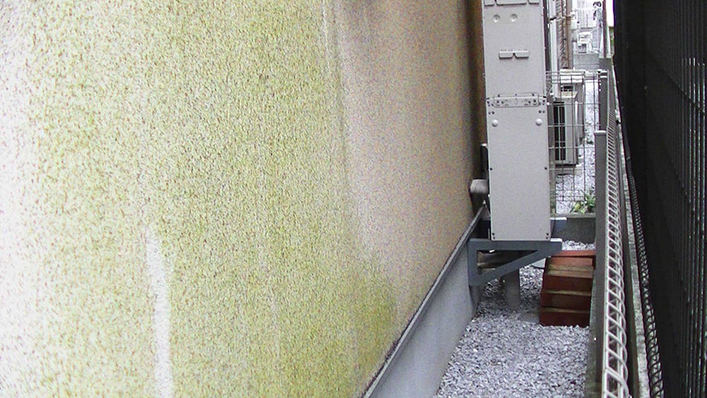 壁にコケや汚れがあるけど、大丈夫？